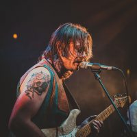 Pete The Fox - June 20 2025