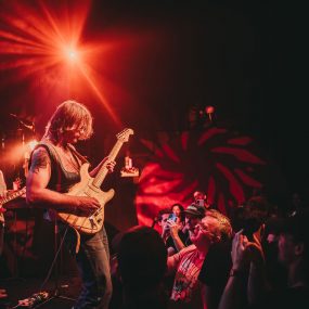 The Fox - June 20 2025 The Fox - June 20 2025